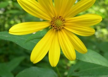 Biden Says Supply Chain Issues And Stimulus Checks His Administration Gave Out To Blame For Inflation