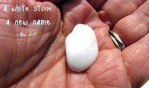 I Have A Pebble And I’m Not Afraid To Use It